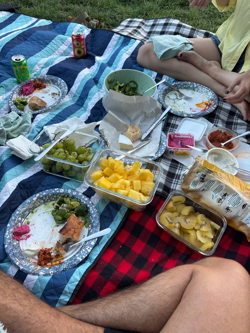 Outdoor picnic spread with fruit, dips, salad and drinks on blankets